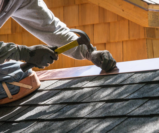 Roof Gutter Cleaning in Midway South, TX